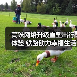 高铁网络升级重塑出行体验 铁路助力幸福生活 高铁网络升级重塑出行体验 铁路助力幸福生活