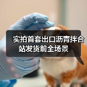 实拍首套出口沥青拌合站发货前全场景 实拍首套出口沥青拌合站发货前全场景