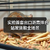 实拍首套出口沥青拌合站发货前全场景 实拍首套出口沥青拌合站发货前全场景