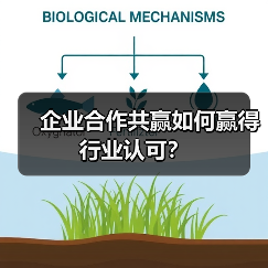 企业合作共赢如何赢得行业认可? 企业合作共赢如何赢得行业认可?
