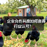 企业合作共赢如何赢得行业认可? 企业合作共赢如何赢得行业认可?