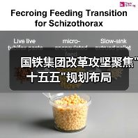 国铁集团改革攻坚聚焦"十五五"规划布局 国铁集团改革攻坚聚焦"十五五"规划布局