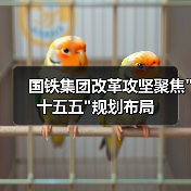 国铁集团改革攻坚聚焦"十五五"规划布局 国铁集团改革攻坚聚焦"十五五"规划布局