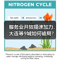 服务业开放提速加力,大连等9城如何破局? 服务业开放提速加力,大连等9城如何破局?