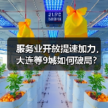 服务业开放提速加力,大连等9城如何破局? 服务业开放提速加力,大连等9城如何破局?