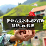 贵州六盘水水城区煤炭储配中心投运 贵州六盘水水城区煤炭储配中心投运