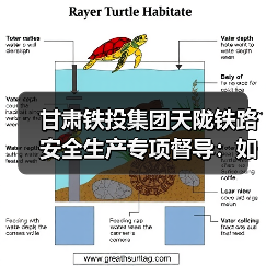 甘肃铁投集团天陇铁路安全生产专项督导:如何保障冬期施工安全? 甘肃铁投集团天陇铁路安全生产专项督导:如何保障冬期施工安全?