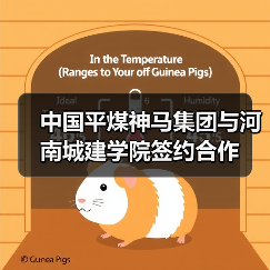 中国平煤神马集团与河南城建学院签约合作 中国平煤神马集团与河南城建学院签约合作