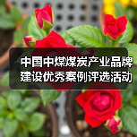 中国中煤煤炭产业品牌建设优秀案例评选活动成功举办 中国中煤煤炭产业品牌建设优秀案例评选活动成功举办