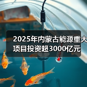2025年内蒙古能源重大项目投资超3000亿元 2025年内蒙古能源重大项目投资超3000亿元