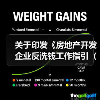 关于印发《房地产开发企业反洗钱工作指引(试行)》的通知 关于印发《房地产开发企业反洗钱工作指引(试行)》的通知