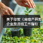 关于印发《房地产开发企业反洗钱工作指引(试行)》的通知 关于印发《房地产开发企业反洗钱工作指引(试行)》的通知