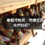 寒程淬炼后，热情是否依然如初？