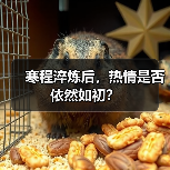寒程淬炼后，热情是否依然如初？