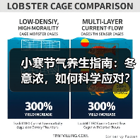 小寒节气养生指南：冬意浓，如何科学应对？