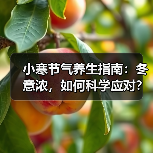 小寒节气养生指南：冬意浓，如何科学应对？