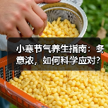 小寒节气养生指南：冬意浓，如何科学应对？