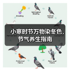 小寒时节万物染冬色,节气养生指南 小寒时节万物染冬色,节气养生指南