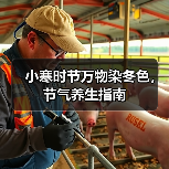 小寒时节万物染冬色,节气养生指南 小寒时节万物染冬色,节气养生指南