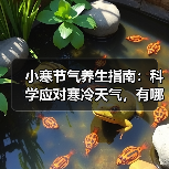 小寒节气养生指南:科学应对寒冷天气,有哪些实用建议? 小寒节气养生指南:科学应对寒冷天气,有哪些实用建议?