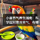 小寒节气养生指南:科学应对寒冷天气,有哪些实用建议? 小寒节气养生指南:科学应对寒冷天气,有哪些实用建议?