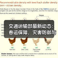 交通运输部最新动态:春运保障、灾害防御与新质生产力布局哪些重点值得关注? 交通运输部最新动态:春运保障、灾害防御与新质生产力布局哪些重点值得关注?