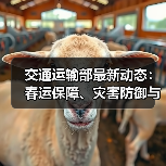 交通运输部最新动态:春运保障、灾害防御与新质生产力布局哪些重点值得关注? 交通运输部最新动态:春运保障、灾害防御与新质生产力布局哪些重点值得关注?