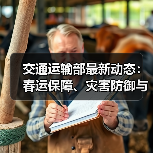 交通运输部最新动态:春运保障、灾害防御与新质生产力布局哪些重点值得关注? 交通运输部最新动态:春运保障、灾害防御与新质生产力布局哪些重点值得关注?