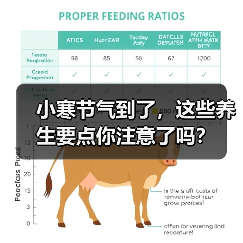 小寒节气到了，这些养生要点你注意了吗？