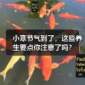 小寒节气到了，这些养生要点你注意了吗？