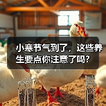 小寒节气到了，这些养生要点你注意了吗？