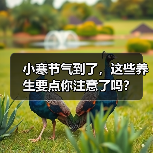 小寒节气到了，这些养生要点你注意了吗？