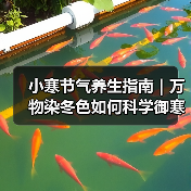 小寒节气养生指南｜万物染冬色如何科学御寒