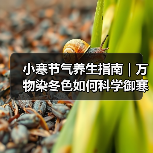 小寒节气养生指南｜万物染冬色如何科学御寒