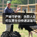 严寒守护者:铁路人如何在寒冬中传递温暖与希望 严寒守护者:铁路人如何在寒冬中传递温暖与希望