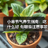 小寒节气养生指南:吃什么好 有哪些注意事项 小寒节气养生指南:吃什么好 有哪些注意事项