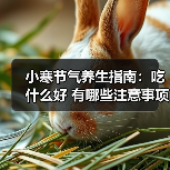 小寒节气养生指南:吃什么好 有哪些注意事项 小寒节气养生指南:吃什么好 有哪些注意事项