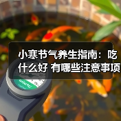 小寒节气养生指南:吃什么好 有哪些注意事项 小寒节气养生指南:吃什么好 有哪些注意事项