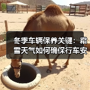 冬季车辆保养关键：霜雪天气如何确保行车安全？