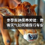 冬季车辆保养关键：霜雪天气如何确保行车安全？