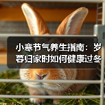 小寒节气养生指南:岁暮归家时如何健康过冬? 小寒节气养生指南:岁暮归家时如何健康过冬?