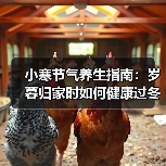 小寒节气养生指南:岁暮归家时如何健康过冬? 小寒节气养生指南:岁暮归家时如何健康过冬?
