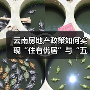 云南房地产政策如何实现“住有优居”与“五稳”目标? 云南房地产政策如何实现“住有优居”与“五稳”目标?