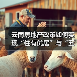 云南房地产政策如何实现“住有优居”与“五稳”目标? 云南房地产政策如何实现“住有优居”与“五稳”目标?