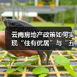 云南房地产政策如何实现“住有优居”与“五稳”目标? 云南房地产政策如何实现“住有优居”与“五稳”目标?