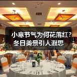 小寒节气为何花落红？冬日美景引人遐思