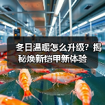 冬日温暖怎么升级?揭秘焕新铠甲新体验 冬日温暖怎么升级?揭秘焕新铠甲新体验