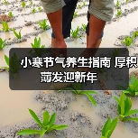 小寒节气养生指南 厚积薄发迎新年 小寒节气养生指南 厚积薄发迎新年