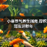 小寒节气养生指南 厚积薄发迎新年 小寒节气养生指南 厚积薄发迎新年